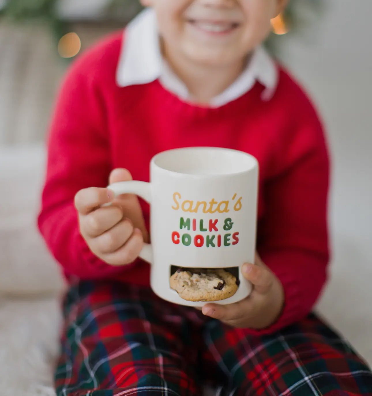 Santa’s Milk and Cookies Mug